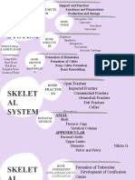 Skelet AL System: Functi ON