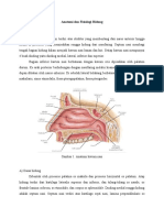 Anatomi Dan Fisiologi Hidung Fix1
