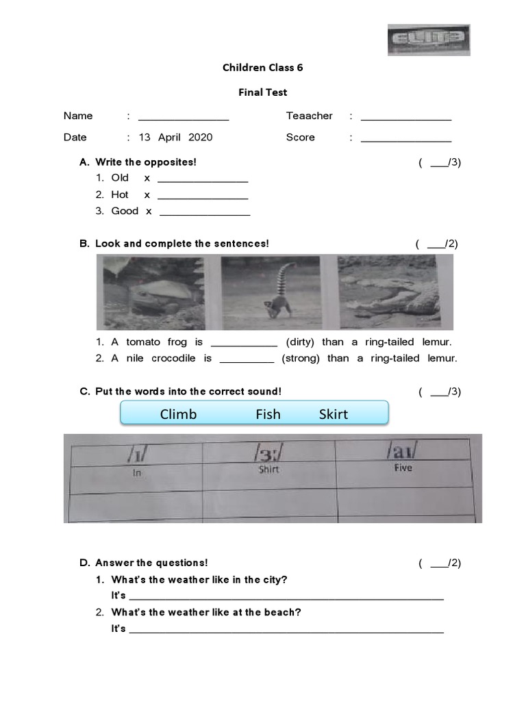 Children Class 6 Final Test | PDF | Language Arts & Discipline ...