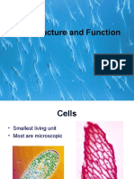 Cell Parts and Function