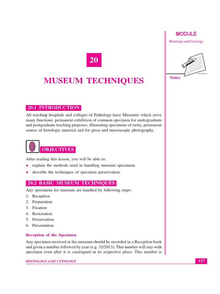 Museum Techniques Notes PDF Fixation (Histology) Histology