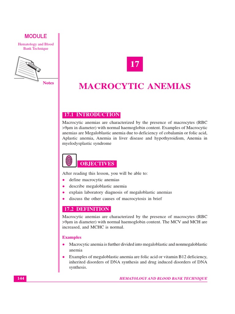 Macrocytic Anemias Notes PDF Anemia Vitamin B12