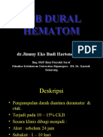 Sub Dural Hematom