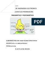 Presináptico y Postsináptico