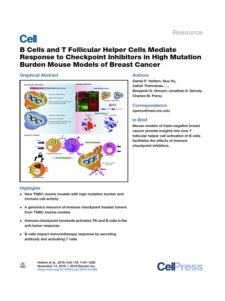 B Cells and T Follicular Helper Cells Mediate Response To Checkpoint ...