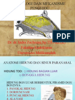 Fisiologi Penghidu