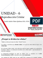 UNIDAD 6_Reproducción Celular