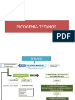Patogenia Tetanos