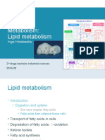 Metabolism: Lipid Metabolism: Inge Holsbeeks