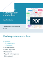 Metabolism: Carbohydrate Metabolism: Inge Holsbeeks