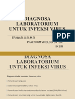 Diagnosa Laboratorium Untuk Infeksi Virus: Erawati, S.Si.,M.Si Praktikum Virologi D4 TLM Iik BW