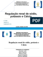 Regulação renal de sódio, potássio e cálcio