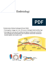 Embriologi Jantung