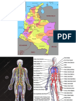 Cuerpo y Mapa