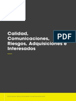 Calidad, Comunicaciones, Riesgos, Adquisiciones e Interesados