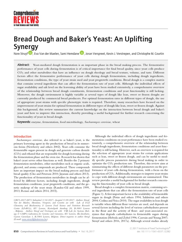 Bread Dough and Baker's Yeast An Uplifting Synergy PDF Breads Yeast