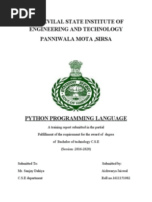 python report