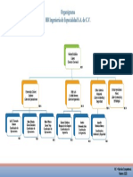 Oganigrama PDF