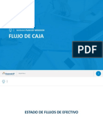 002 Flujo de Caja PDF