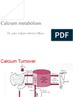 Calcium Metabolism: Dr. Joko Wahyu Wibowo Mkes