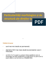lp_morfologie_DT2.pptx