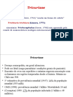 TRICHURIS+teórica