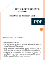 Reproduction and Development in Mammals: Presented By: Miss Saba Saeed