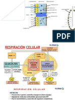 Biologia Didactica - Material