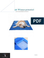Produit Winner Potentiel 2 PDF