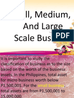 2 Small, Medium, and Large Business