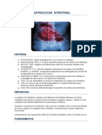 Obstruccion Intestinal Termindo