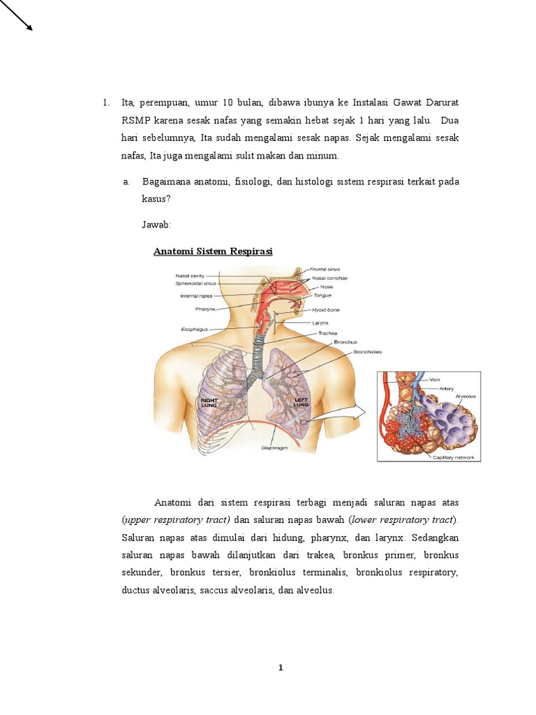 Jawaban Yolan702018012 Sken C Pdf