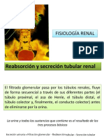 Tema 20 Reabsorcion y Secrecion Tubular PDF