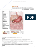 Stomach, Gallbladder and Pancreas - Interactive Anatomy Guide PDF