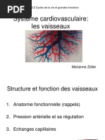 2016-Systeme-cardiovasculaire-les-vaisseaux