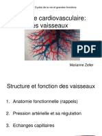 2016 Systeme Cardiovasculaire Les Vaisseaux
