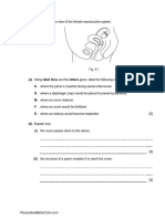 Female reproductive system diagram labels