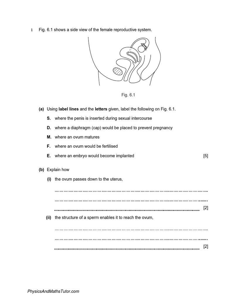 Reproduction 9 QP-merged PDF | PDF | Fertilisation | Genetics