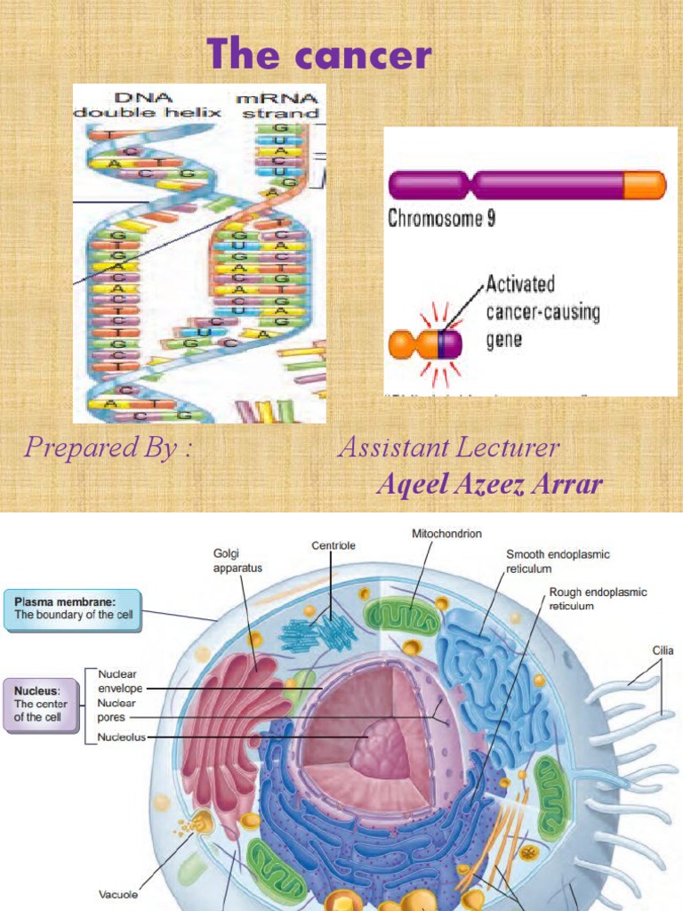 تقرير عن السرطان | PDF | Ionizing Radiation | Chemotherapy