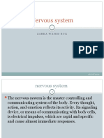 Nervous System: Zarka Wahid Bux