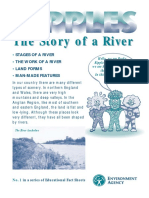 The Story of A River