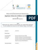 Mémoire BENTIFOUR Oumaima (1).pdf