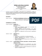 MODELO DE CV CON EXPERIENCIA.docx