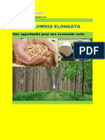 Paulownia Pour Une Économie Verte Maroc-Converti PDF