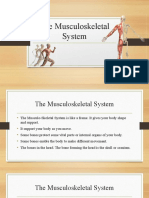 The Musculoskeletal System