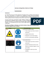 Formato Recomendaciones de SST