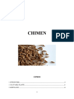 chimen general.docx