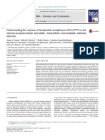 Understanding The Response of Desulfovibrio Desulfuricans ATCC 27774 To The