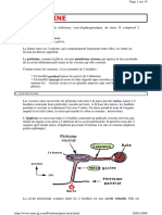 Peritoine