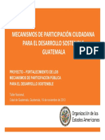 OEA Mecanismosnov2013 PDF